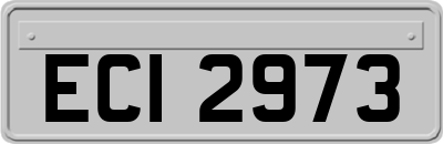 ECI2973
