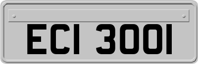 ECI3001