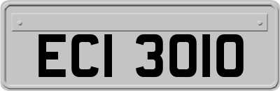 ECI3010