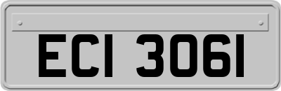 ECI3061