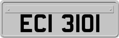 ECI3101