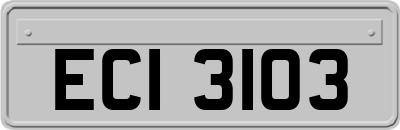 ECI3103