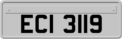 ECI3119