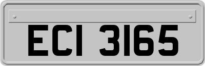 ECI3165