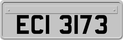 ECI3173