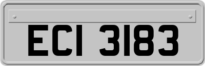 ECI3183