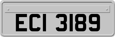 ECI3189