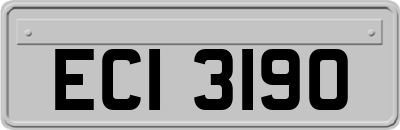 ECI3190