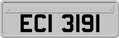 ECI3191