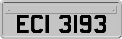 ECI3193