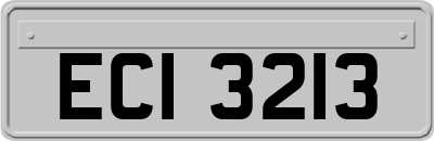 ECI3213
