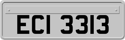 ECI3313