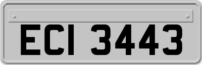 ECI3443