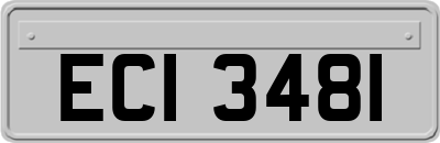 ECI3481