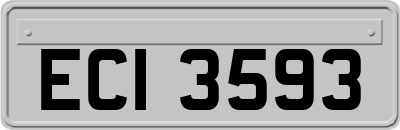 ECI3593