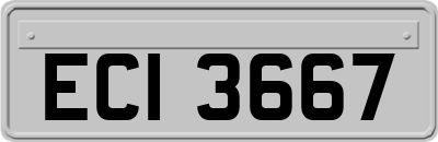 ECI3667