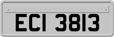 ECI3813