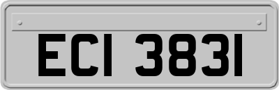 ECI3831