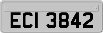 ECI3842