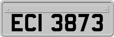 ECI3873
