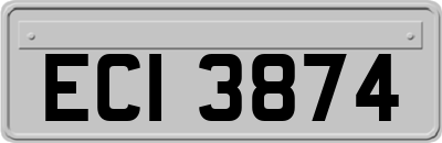 ECI3874
