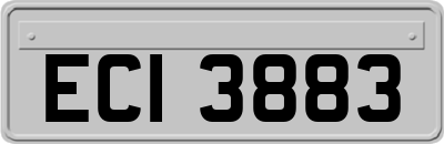 ECI3883