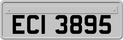 ECI3895
