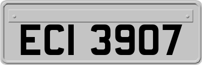 ECI3907