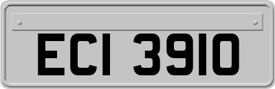 ECI3910