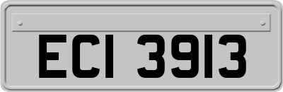 ECI3913