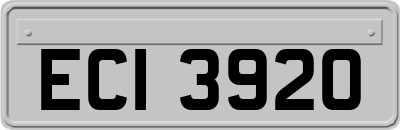 ECI3920