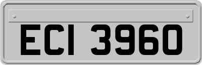 ECI3960