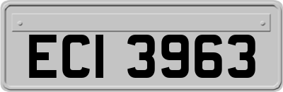 ECI3963