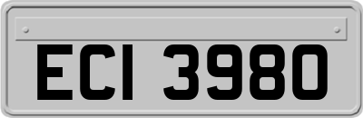 ECI3980