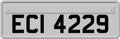 ECI4229