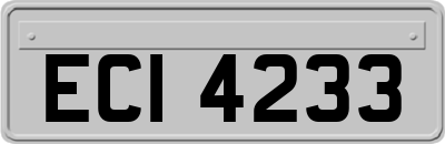 ECI4233