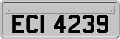 ECI4239