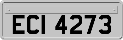 ECI4273