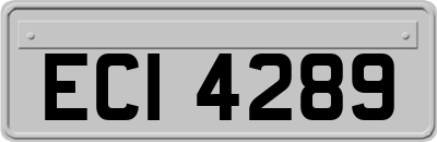 ECI4289