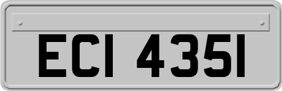 ECI4351
