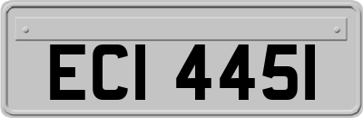 ECI4451