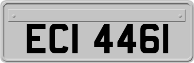 ECI4461