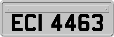 ECI4463
