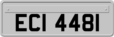 ECI4481