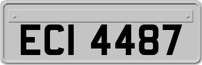 ECI4487