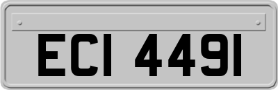 ECI4491
