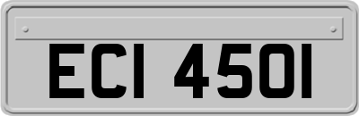 ECI4501