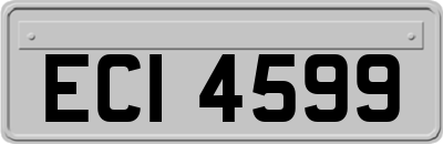 ECI4599