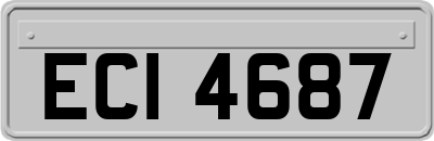 ECI4687