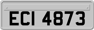 ECI4873